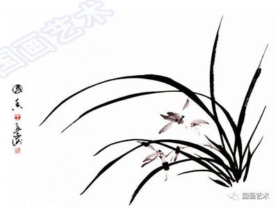 兰花画法示范 图文教程系列